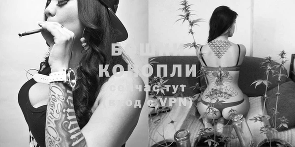 молекула духа Алзамай