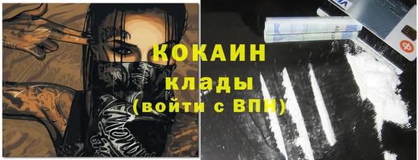 кокс Алексин