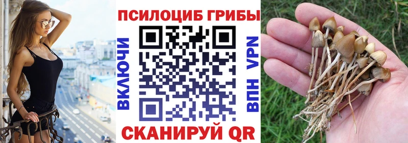 omg tor  наркошоп  Сосновка  Псилоцибиновые грибы мухоморы 